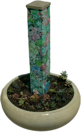 Echeveria in Succulent Bowl